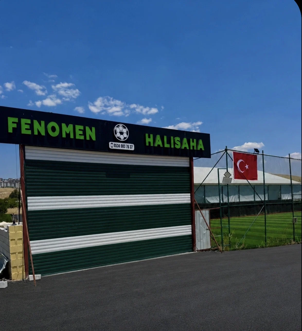 Fenomen